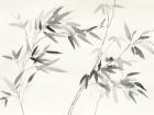 Bamboo Leaves I