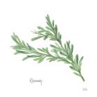 Rosemary