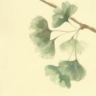 Gingko Leaves III