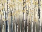 Golden Birch III