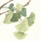 Gingko Leaves I Light