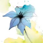 Watercolor Graphite Flower V
