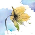 Watercolor Graphite Flower VIII