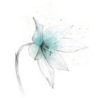 Teal Graphite Flower VIII