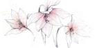 Pink Graphite Floral Trio