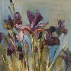 Spring Iris I