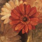 Bold Gerberas III