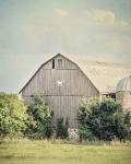 Late Summer Barn II Crop