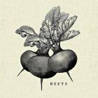 Linen Vegetable BW Sketch Beets