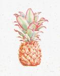 Gracefully Blush Pineapple XI