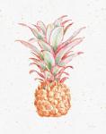 Gracefully Blush Pineapple XII