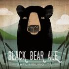 Skinny Dip Black Bear Ale