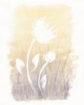 Floral Silhouette I
