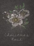 Chalkboard Christmas Greenery III