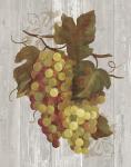 Autumn Grapes IV on Wood