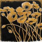 Gold Black Line Poppies I