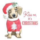 Glamour Pups Christmas III Kiss Me