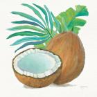 Coconut Palm III