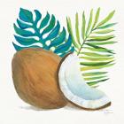 Coconut Palm IV