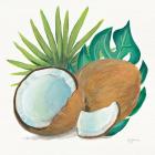 Coconut Palm V