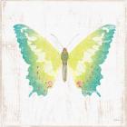 White Barn Butterflies III