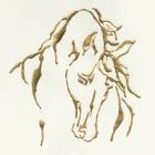 Gilded Stallion