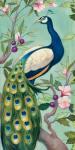 Pretty Peacock II