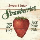 Sweet and Juicy Strawberries