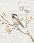 Black Capped Chickadee Vintage v2