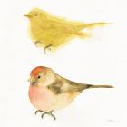 Watercolor Birds I Sq