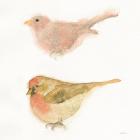 Watercolor Birds II Sq