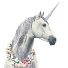 Spirit Unicorn I Square