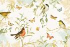 Natures Wisdom I