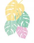 Monstera III Bright on White