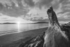 Samish Bay Sunset I BW