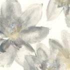 Gray and Silver Flowers I