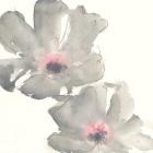 Gray Blush Cosmos I