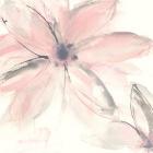 Blush Clematis II