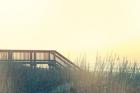 Boardwalk to the Beach
