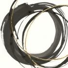 Gilded Enso I