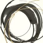 Gilded Enso IV