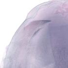 Swish of Magenta I