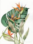 Botanical Birds of Paradise