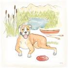 Dog Days of Summer Comet