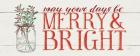 Merry and Bright