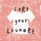 Laundry Rules III