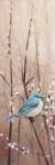 Pretty Birds II