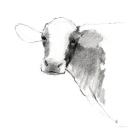 Cow II Dark Square