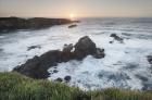 Mendocino Coast