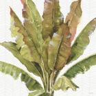 Mixed Greens VII